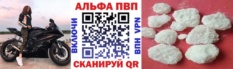 omg ONION Малгобек A PVP СК КРИС