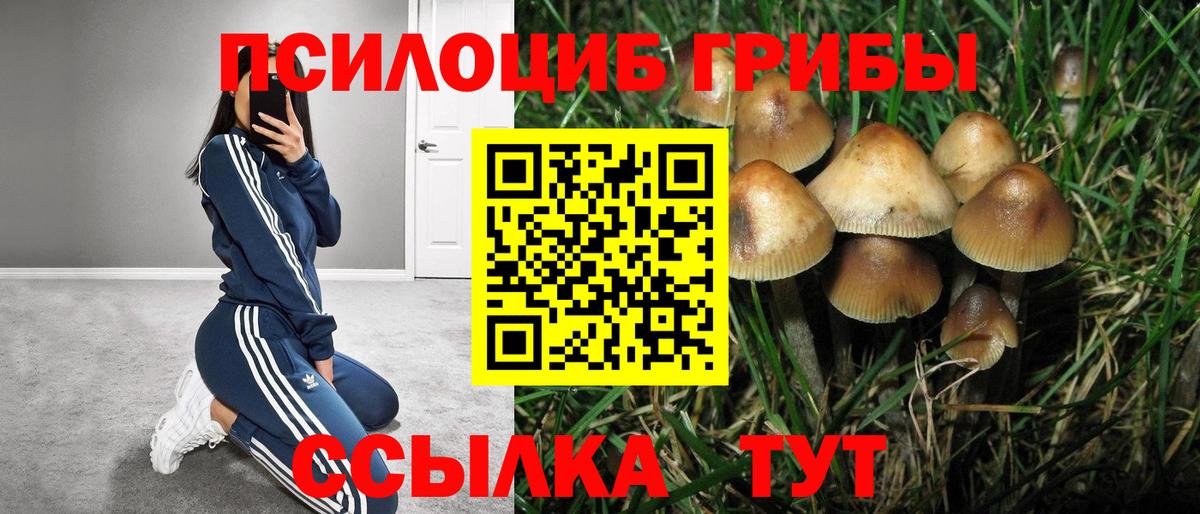 Псилоцибиновые грибы Psilocybine cubensis  Вход с VPN  Псилоцибиновые грибы MAGIC MUSHROOMS  Малгобек 